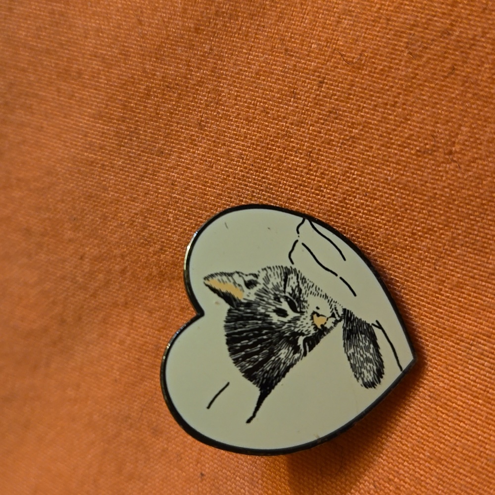 Pin sans the back